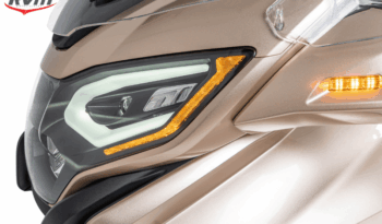 FRENTE GT1